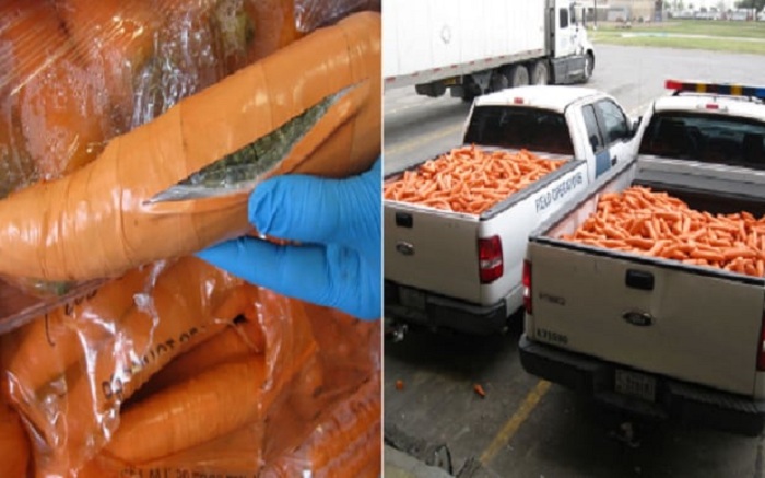11 bizarre smuggling attempts that failed spectacularly